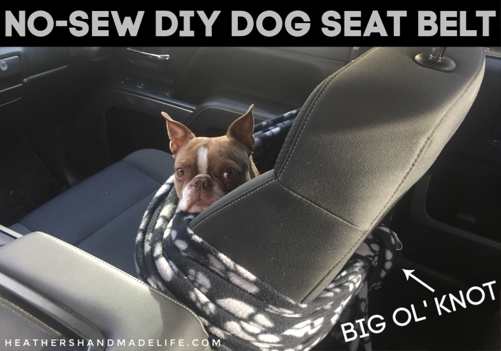 DIY dog seat belt: How to make your own dog seat belt that doubles as a snuggly blanket {Heather's Handmade Life}